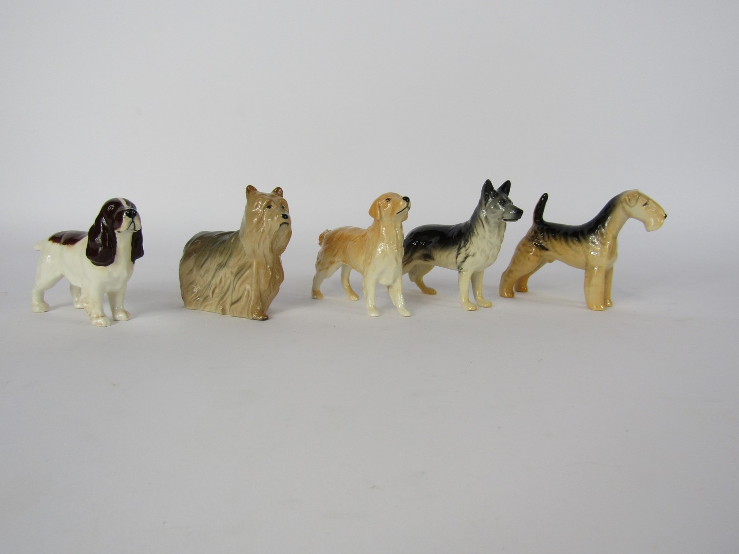 Five Beswick dog ornaments, comprising a Retriever, Yorkshire Terrier, Cocker Spaniel (brown), Alsat - Image 2 of 3