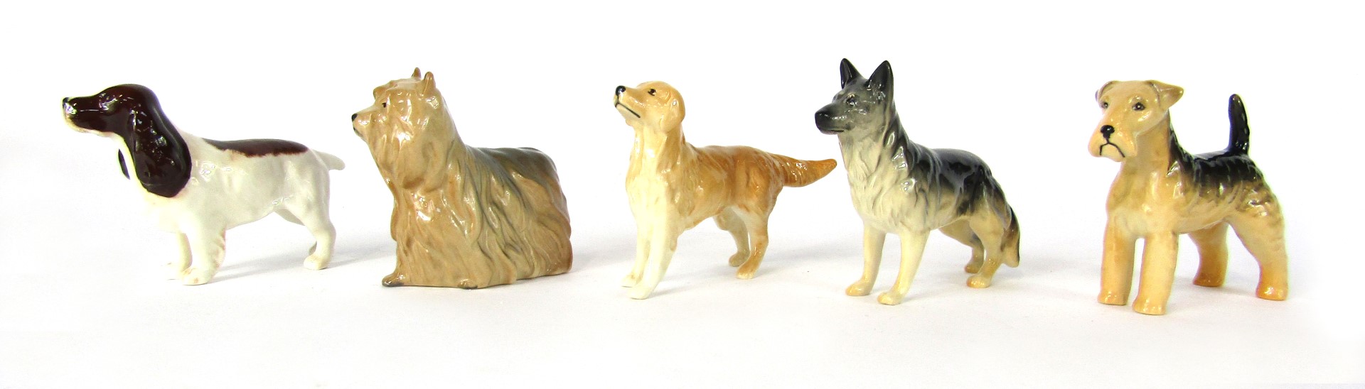 Five Beswick dog ornaments, comprising a Retriever, Yorkshire Terrier, Cocker Spaniel (brown), Alsat
