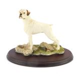 A Naturecraft Best of Breed white Boxer dog figure, on an oval wooden base, 18cm high, with certific