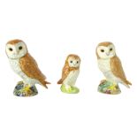 Three various Beswick Barn Owls, 11cm and 8cm high, boxed.