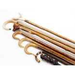A group of hazel and other walking sticks, comprising five with antler and horn handles, bamboo and