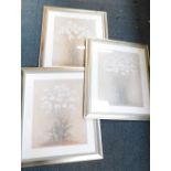 After Deborah Lake. A set of three snowdrop prints, each in modern frames.