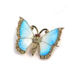 An enamel butterfly brooch, the blue and white enamelled winged butterfly with paste stone set body