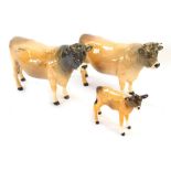 Three Beswick ornaments, comprising two Ch Dunsley Coy Boy Jersey bull, and a calf. (3)