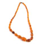 An amber coloured necklace, with graduated multicoloured glass apllied beads, the largest 2.5cm wide