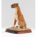 A Border Fine Arts Country Show boxer dog, No MT09, on a wooden base, 26cm high.
