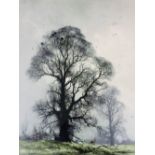 David Shepherd. Trees in landscape, signed print, 60cm x 51cm.