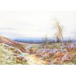 Late 19th/early 20thC British School. Moorland scene, watercolour, indistinctively signed, 24cm x 34