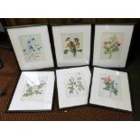 After P J Redoute. Botanical studies, each 26cm x 20cm. (6)