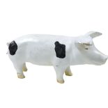 A butcher's plaster model of a Gloucester Old Spot pig, 59cm wide.