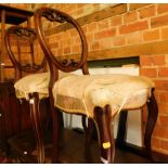 Two Victorian cabriole backed dining chairs.