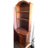 A mahogany arched top mahogany bookcase, with bow front cupboard base, on a plinth feet.