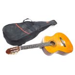 A 20thC Ashley Acoustic guitar, six strings with mounts in fitted case, 98cm long.