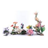 Various Boehm bone porcelain floral groups, 20cm wide, etc. (a quantity)