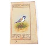 A miniature Persian manuscript, hand painted with bird with text to both sides, 19cm x 11cm.