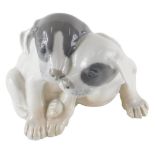 A Royal Copenhagen figure group of two puppies, number 260 YT, printed marks beneath.