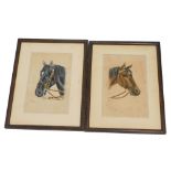 E. W. Meeg (20thC). Horse's head, watercolour, signed, and another , a pair. (2)