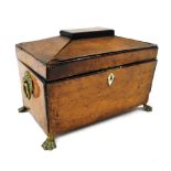 A Georgian burr yew tea caddy, of sarcophagus form, with brass lion's head and ring handles, opening