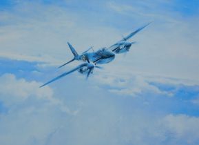 After Taylor. Mosquito, print, signed by Leonard Cheshire to the mount, 30cm x 47cm and L Cork (20th