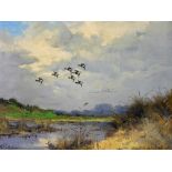 G. Stevens (20thC School). Mallards in flight, oil on canvas, signed, 41cm x 49cm.