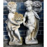 Two composition stone garden statues, formed as putti carrying fruit baskets, on square bases, 80cm