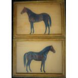 20thC Italian School. Two studies of horses, Aniceto and Salpiglossis, monogrammed and dated 35 and