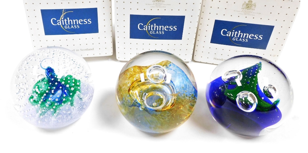 Three Caithness glass paperweights, comprising Fascination, Cosmos and Triple Crown Cobalt, boxed.