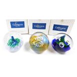 Three Caithness glass paperweights, comprising Fascination, Cosmos and Triple Crown Cobalt, boxed.