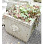 A reconstituted stone planter, square set with lion mask handles, 30cm high, the top 40cm x 40cm.