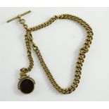 A gold plated watch chain, with curb links, T-bar and clip, with a swivel agate fob, the chain 40cm,
