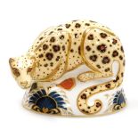 A Royal Crown Derby porcelain Savannah Leopard paperweight, from the Endangered Species Series for S