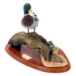 A Border Fine Arts sculpture of a mallard, Water Fowl of the World, designed by Don Briddell, A0477,