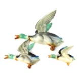 A set of three Poole graduated wall mounted ducks, the largest 28cm wide.