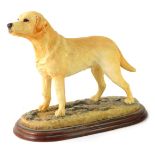 A Border Fine Arts Yellow Labrador standing figure, A3092, on wooden plinth, boxed, 22cm high.