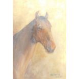 Rioh (20thC School). Sceptre race horse, oil on canvas, signed and titled 1982, with further oil on