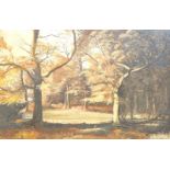 Harry Gentle (20thC School). Autumnal woodland scene, oil on board, framed, 50cm x 76cm.