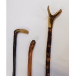 Three walking sticks, comprising a horn handled hiking stick, 133cm long, and two turned examples. (