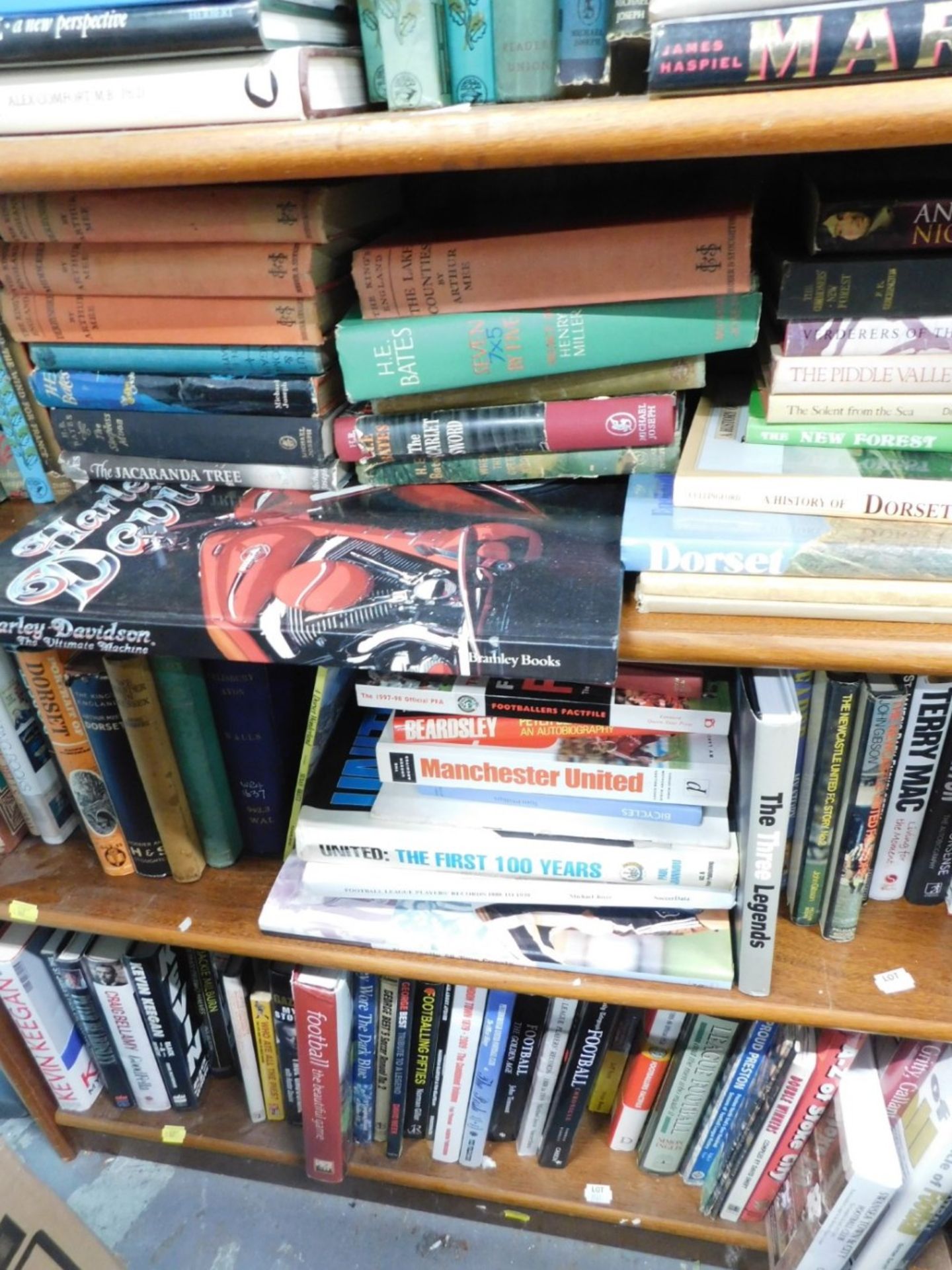 Various books, travel, Weymouth, a Crow of Wild Myrtle, other fiction, non fiction, mainly travel, D