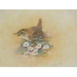 Christopher Hughes (b.1933). Wren on a branch, watercolour, signed, 20cm x 27cm.