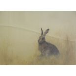 John Willow (20thC). Hare, artist signed limited edition print, 483/850, 36cm x 42cm.