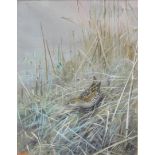 George Edward Lodge (attributed). Baillons Crake, watercolour, signed, initialled GLT, titled verso,