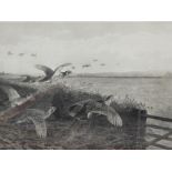 Archibald Thorburn (1860-1935). Grouse in flight, black and white print, signed, 38cm x 57cm.