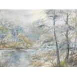 Celeste Basse (20thC). Stream in a forest, watercolour, signed, 31cm x 40cm.