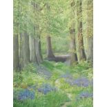 Evelyn Scott (20thC). Bluebell Wood, pastel, signed, titled verso with handwritten price tag £75, 44