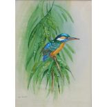 Alan Fairbrass (20thC). Kingfisher on a branch, watercolour, signed, ?6cm x 25cm.