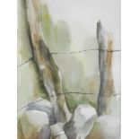 G. Hail (20thC). Fence, watercolour, signed and dated (19)86, label verso, 34cm x 19cm.