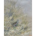 George Edward Lodge (attributed). Little Crake, watercolour, signed, initialled, titled verso, 29cm