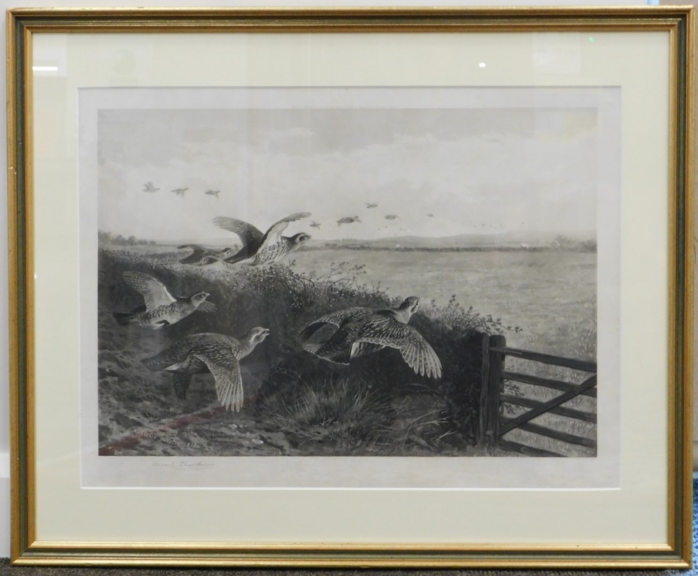 Archibald Thorburn (1860-1935). Grouse in flight, black and white print, signed, 38cm x 57cm. - Image 2 of 4