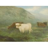 Charles Duncan (19thC). Highland cattle in marsh and mist, oil on canvas, signed, titled verso to th