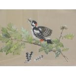 Lesley Ann Ivory (b.1934). Great Spotted Woodpecker, watercolour, signed, titled with price ticket o